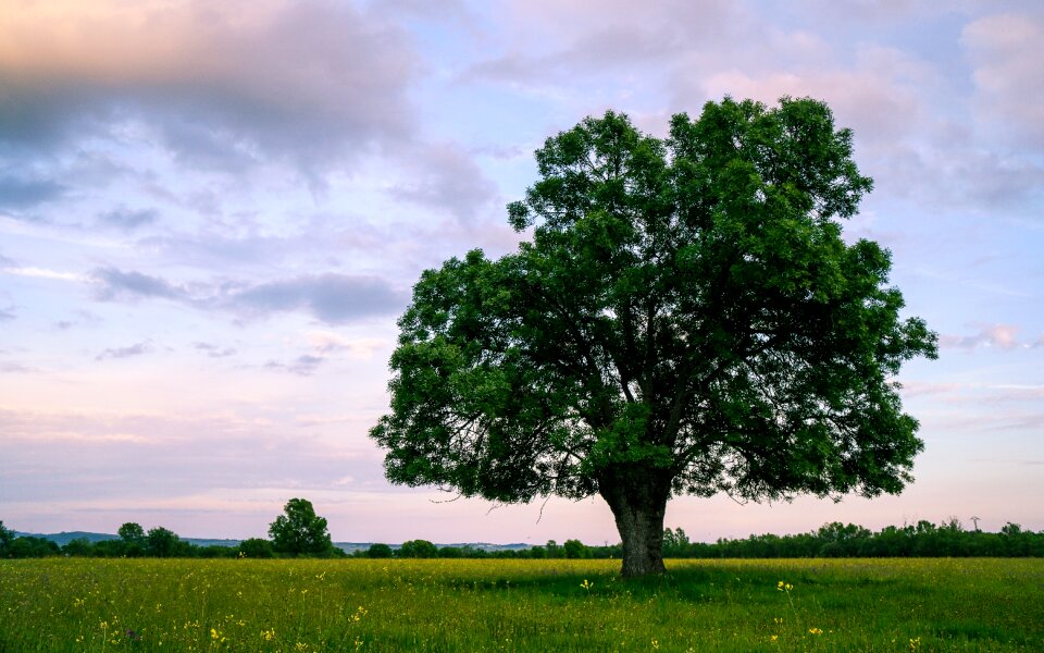 Landscape prairie horizon