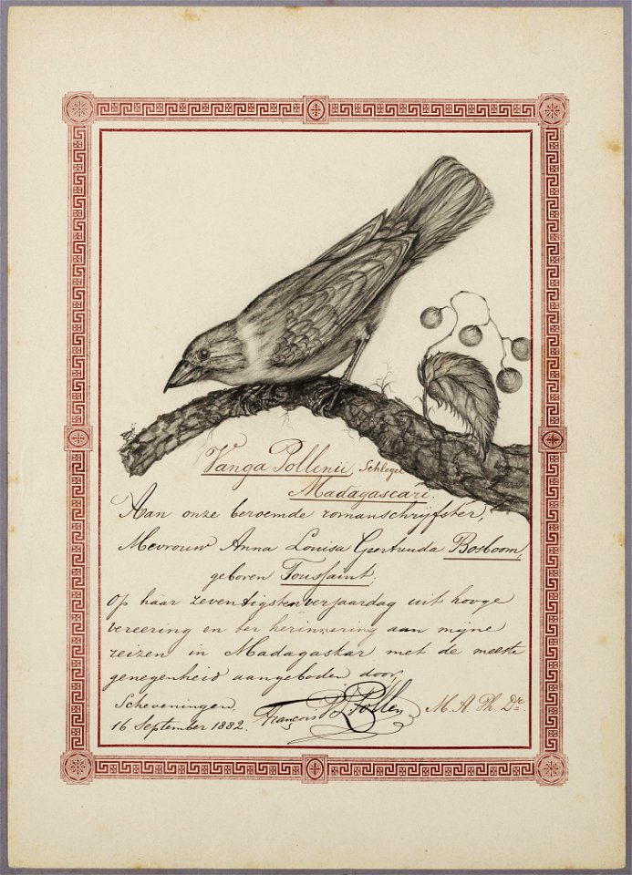 Vervaardiger: Pollen, Dr. F.P.L.

Pagina uit het Album Amicorum dat speciaal gemaakt werd voor de in Alkmaar geboren schrijfster  A.L.G. Bosboom-Toussaint ter gelegenheid van haar 70ste verjaardag in 
