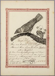 Vervaardiger: Pollen, Dr. F.P.L.

Pagina uit het Album Amicorum dat speciaal gemaakt werd voor de in Alkmaar geboren schrijfster  A.L.G. Bosboom-Toussaint ter gelegenheid van haar 70ste verjaardag in 