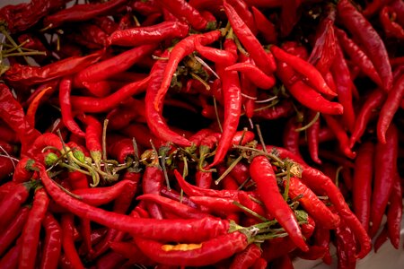 Spain spices red