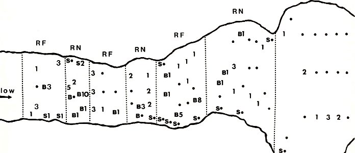 locations of juvenile mussels collected at Big Moccasin Creek, Virginia
: American malacological bulletin
Identifier: americanmal4519861987amer (find matches)
Year: 1983 (1980s)
Authors: American Mala