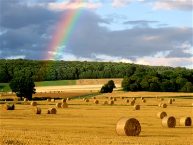 Rainbow Pasture photo