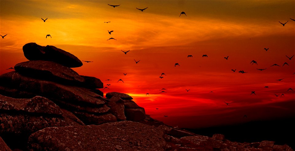 Rock Sunset Birds photo