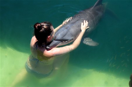 Woman Dolphin photo