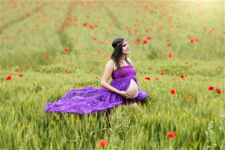 Pregnancy Woman Field photo