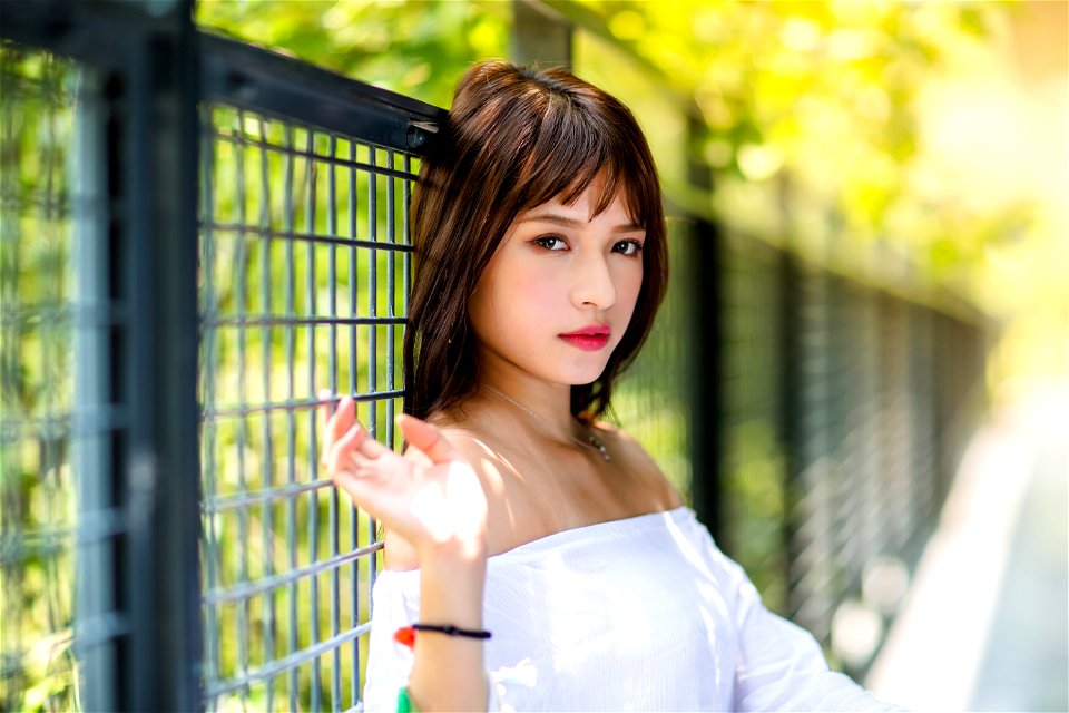 Woman Fence