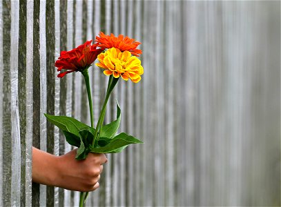 Hand Bouquet Fence photo