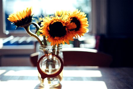 Sunflower Vase photo