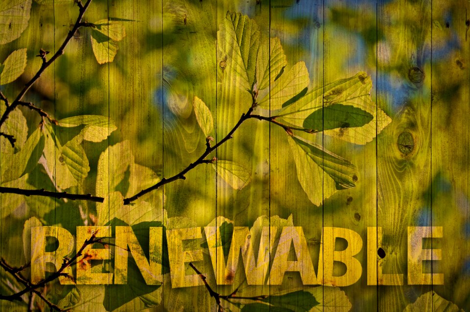 Ecology environment boards