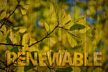 Ecology environment boards