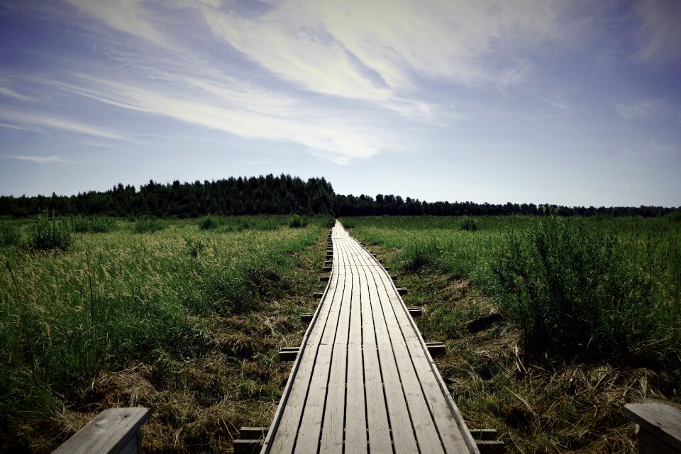 Wood nature hiking photo