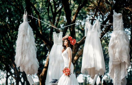 Wedding Dress Woman photo