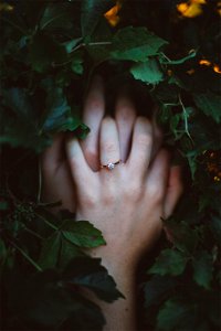 Hands Couple Leaves photo