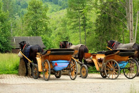 Stop mountains tourism
