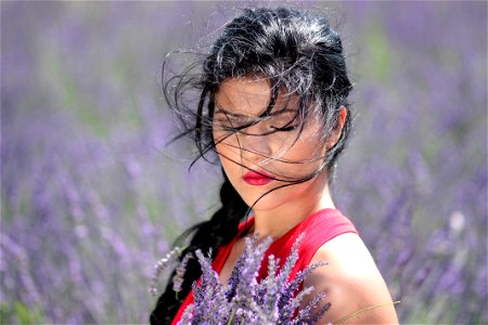 Woman Lavender photo