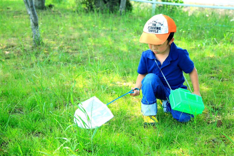 Boy Insect Collecting