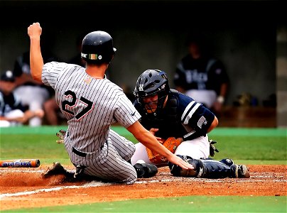 Baseball Sports