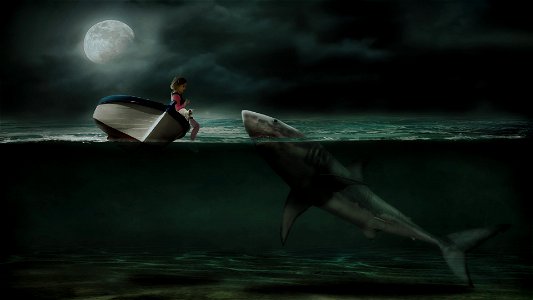 Girl Whale Cat Moon