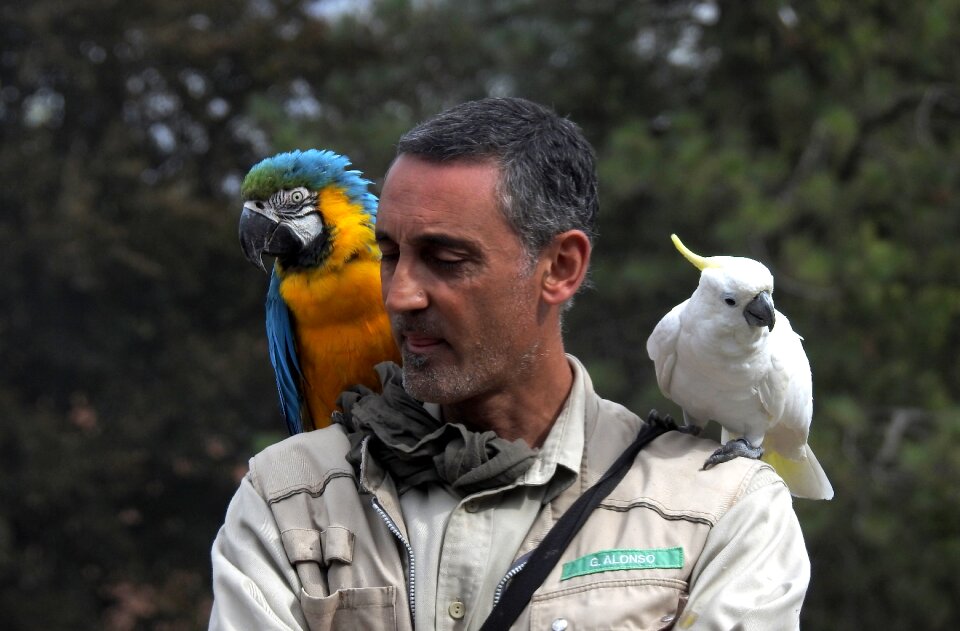 Friends birds love