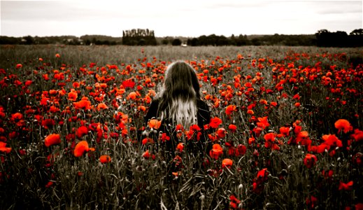 Poppy Woman photo