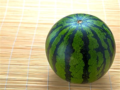 Watermelon Fuit Summer photo