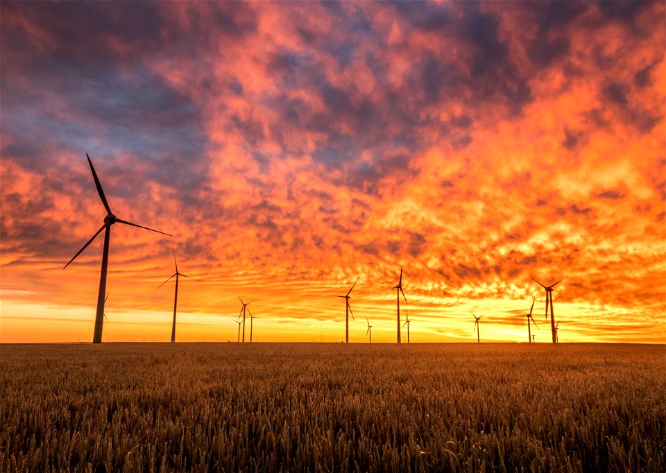 Wind Turbine Sunset Field