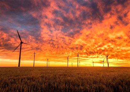 Wind Turbine Sunset Field photo