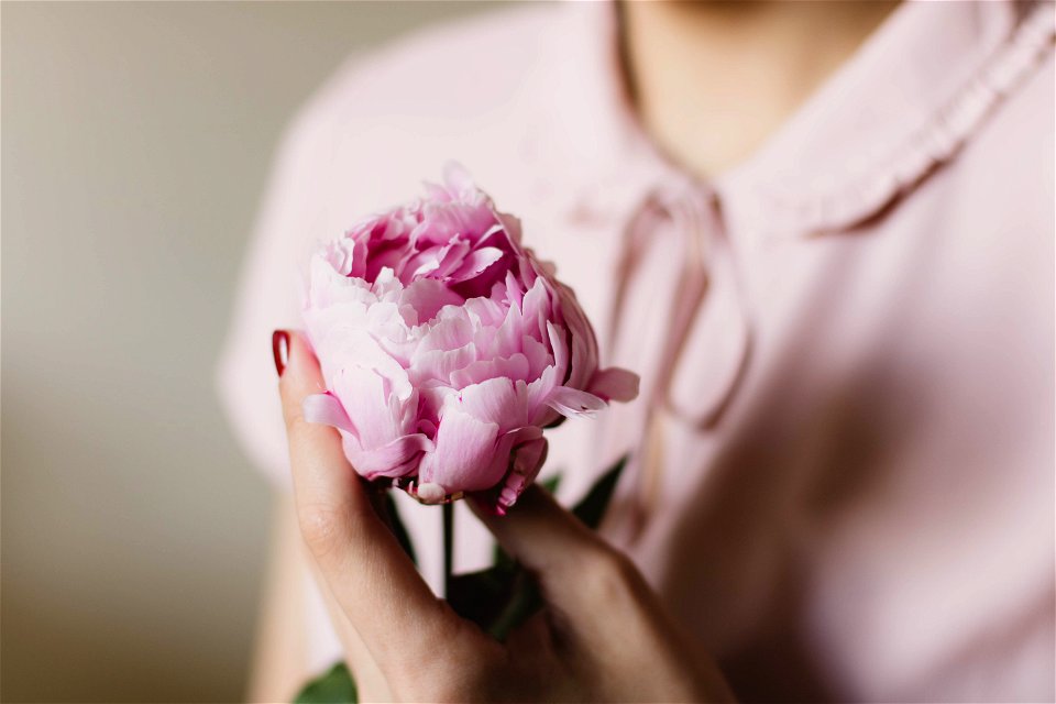 Peony Woman Pink photo