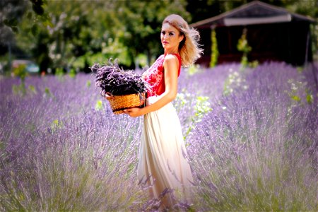 Woman Lavender