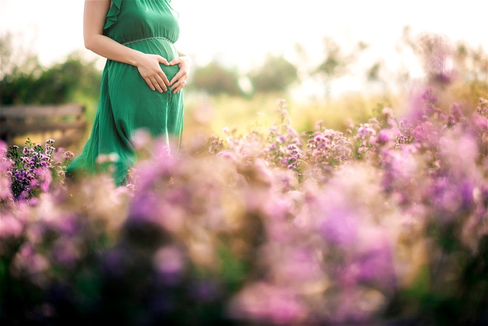 Pregnant Heart Flower