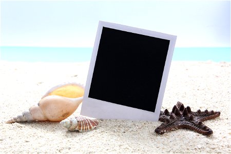 Polaroid Beach Shell