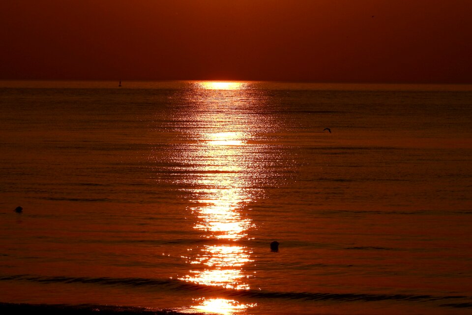 Sunset twilight sea
