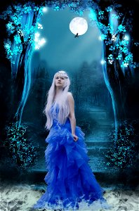 Fantasy Princess photo