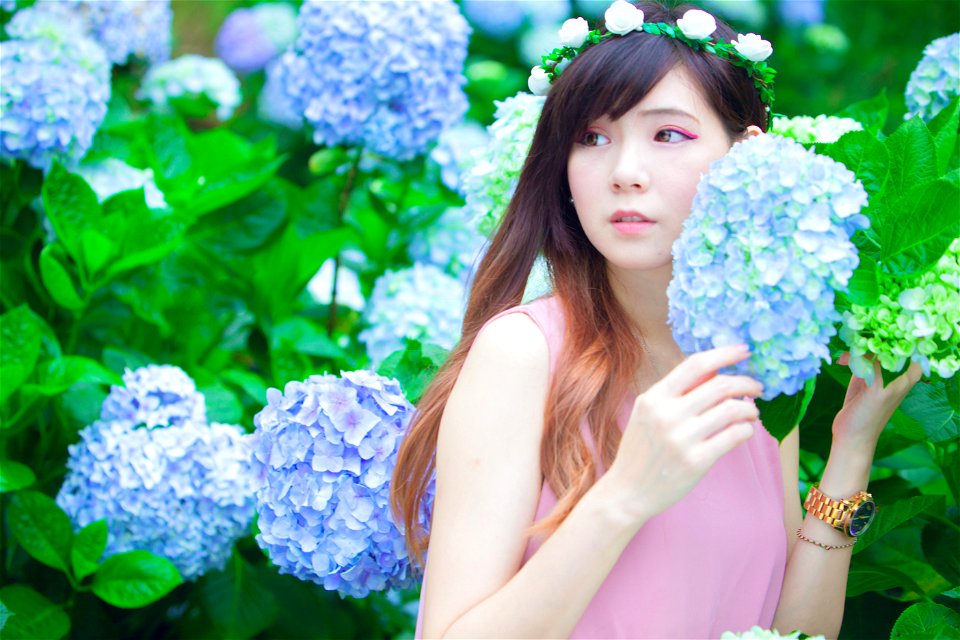 Woman Hydrangea