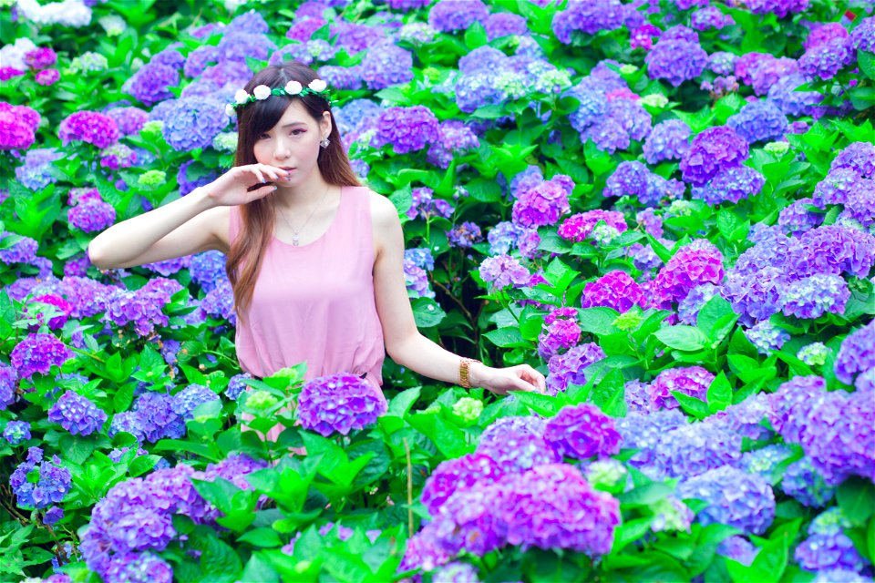 Woman Hydrangea