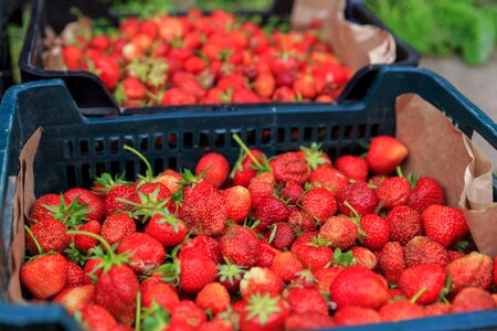 Berry red ripe
