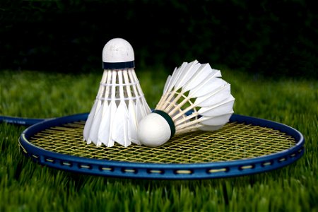 Badminton Sports photo