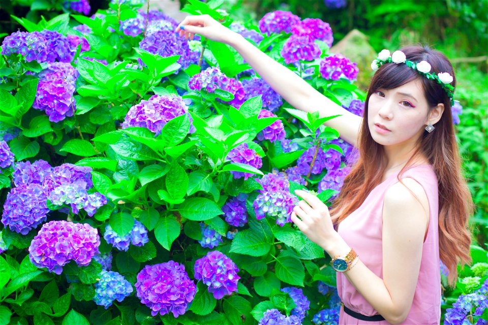 Woman Hydrangea