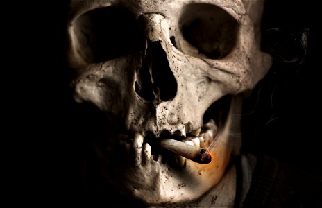 Cigarette Skull photo
