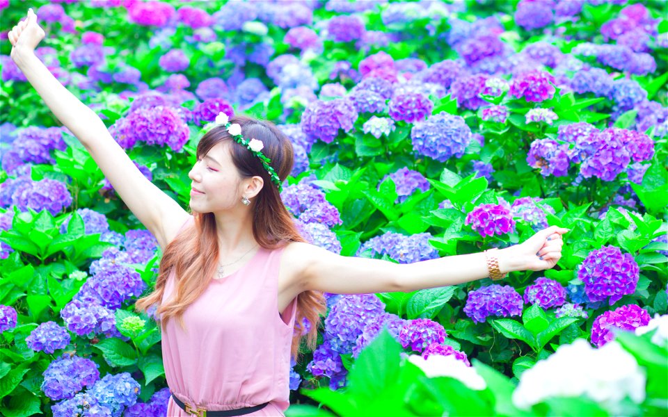 Woman Hydrangea