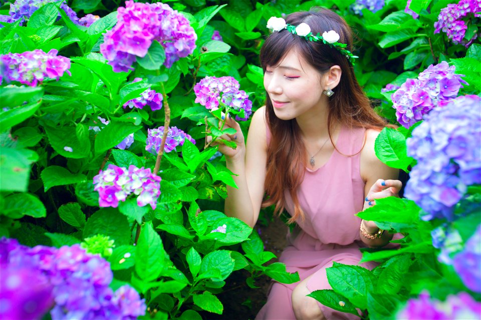 Woman Hydrangea
