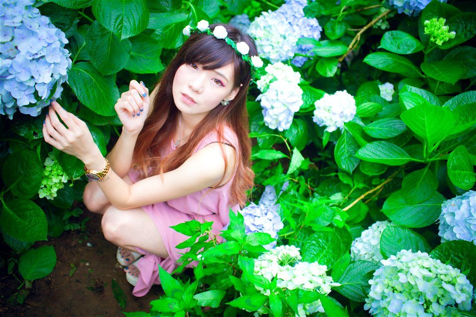 Woman Hydrangea