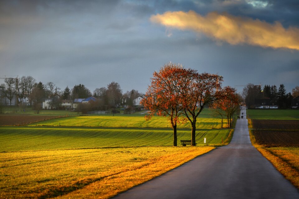 Light nature rest