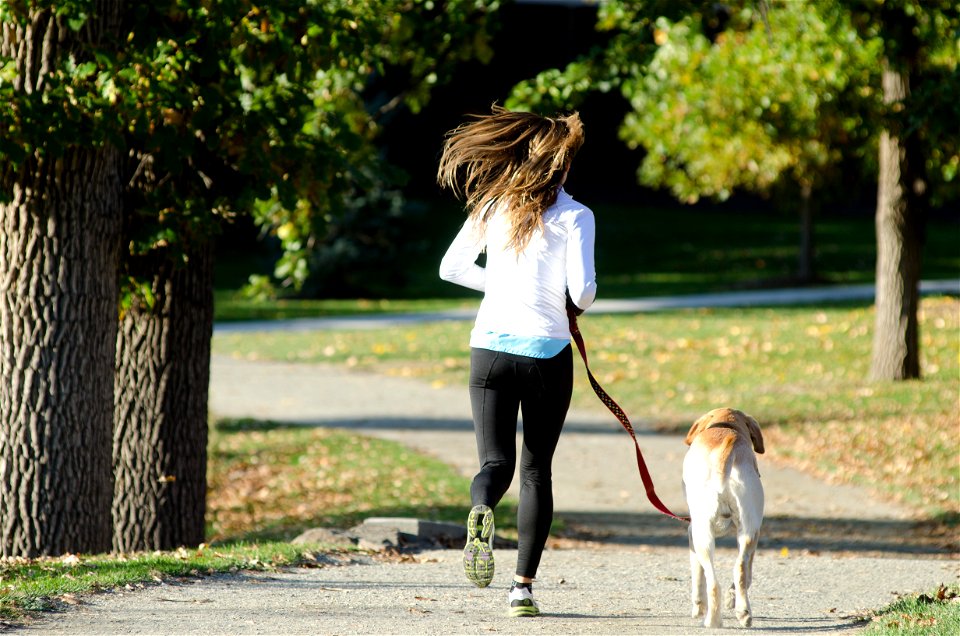 Jogging Woman Dog