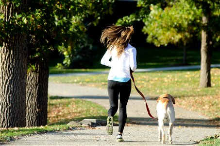 Jogging Woman Dog