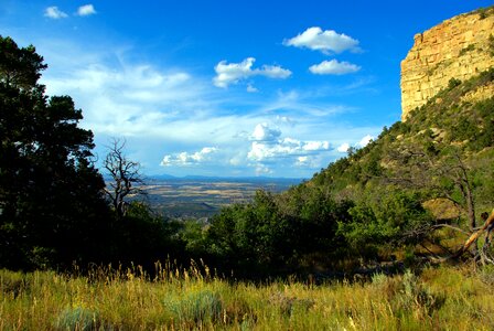 Colorado landscape rock