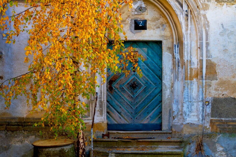 Blue autumn leaves