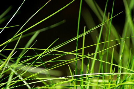 Green drop of water nature photo