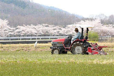Tractor Field