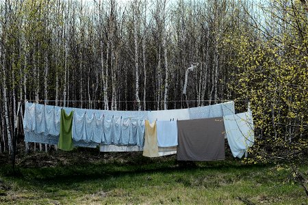 Laundry Washing photo